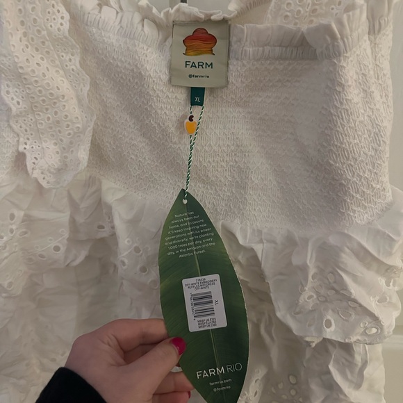 Farm Rio Ruffle Embroidery Midi Dress - Picture 3 of 3